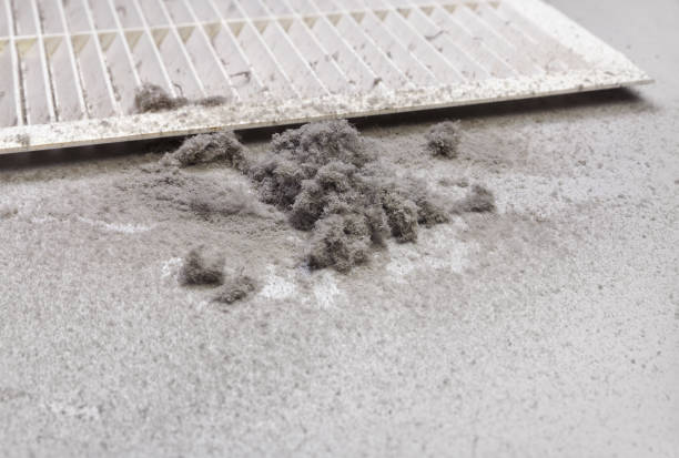 Best Ventilation Cleaning Services  in Chamblee, GA